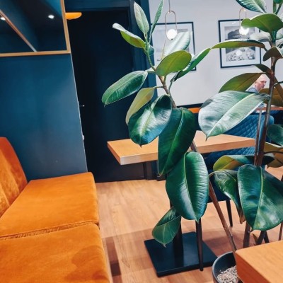 Commercial Space for a Restaurant in Vake-3