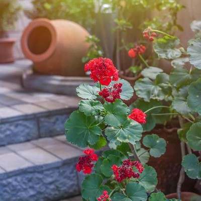 Black Seaside hotel in Gonio-10