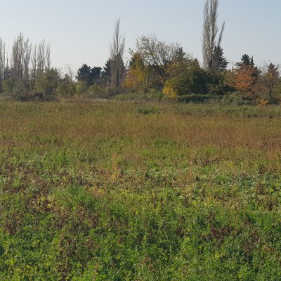 Investment Land Plot near Tbilisi International Airport-2