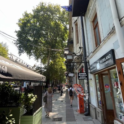 Rustaveli Avenue Residential/Commercial Space-2