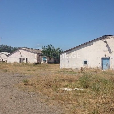 Warehouses near airport and Lilo Mall-2