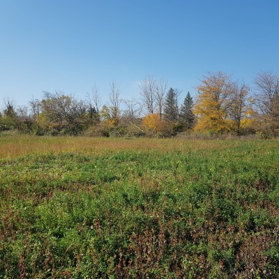 Investment Land Plot near Tbilisi International Airport