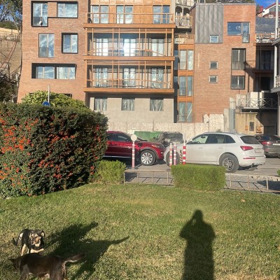 White-Frame Newly Built Hotel in the Heart of Old Tbilisi-3